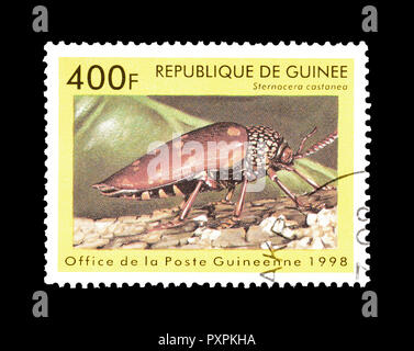 Timbre-poste imprimé par la Guinée, qui montre Beetle, vers 1998. Banque D'Images