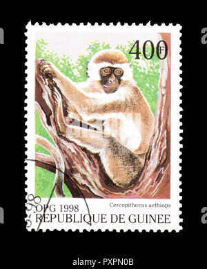 Timbre-poste imprimé par la Guinée, qui montre green monkey, vers 1998. Banque D'Images