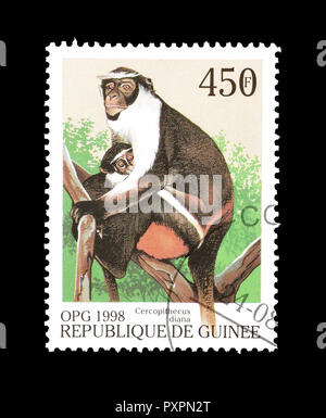 Timbre-poste imprimé par la Guinée, qui montre Diana monkey, vers 1998. Banque D'Images