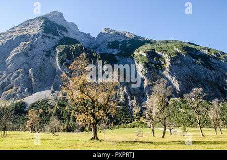 Le monument naturel "Großer Ahornboden, la grande plaine d'érable est l'un des plus beaux endroits dans les Alpes autrichiennes. Banque D'Images