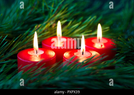 Quatre bougies de l'avent rouge feu entouré de branches de pin Banque D'Images