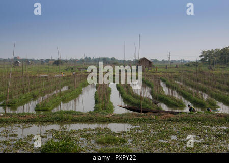 Vue sur la campagne du lac Inle, l'une des principales attractions touristiques du Myanmar Banque D'Images