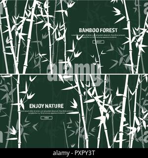 Forêt de bambou. La nature. Le Japon, la Chine.. Plante. Arbre vert avec des feuilles. Les forêts tropicales de l'Asie. Illustration de Vecteur