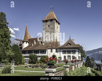 Le Château de Spiez, le lac de Thoune, dans l'Oberland Bernois, Suisse, Europe Banque D'Images