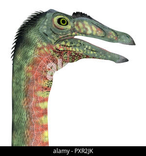 Diablo Diablo - Tête de dinosaure était un dinosaure théropode carnivore qui vivait en Mongolie au Crétacé. Banque D'Images