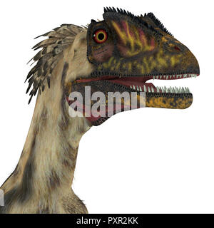 - Tête de dinosaure Deinonychus Deinonychus était un dinosaure théropode carnivore qui vivait en Amérique du Nord pendant la période du Crétacé. Banque D'Images