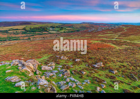 Les roches Haytor vu de Tor selle, Dartmoor National Park, Ilsington. Devon, Angleterre, Royaume-Uni, Europe Banque D'Images