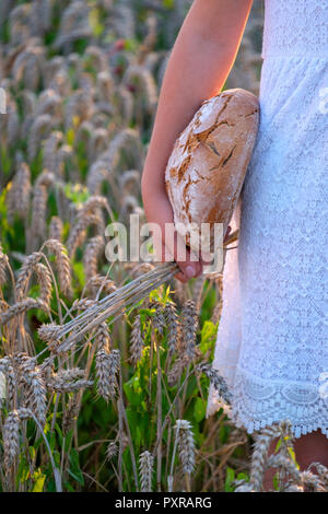 Girl standing in wheat field, holding fresh bread Banque D'Images