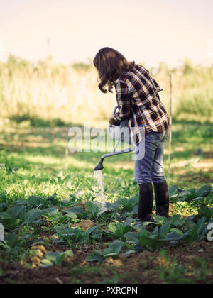 Femme l'arrosage des plantes sur un champ Banque D'Images