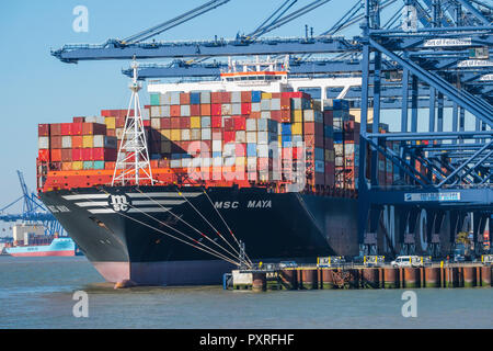 Construit en 2015, le MSC Maya est un des plus grands navires porte-conteneurs, . Le cargo a une capacité de 19 224 conteneurs de 20 pieds. Banque D'Images