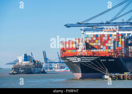 Construit en 2015, le MSC Maya est un des plus grands navires porte-conteneurs, . Le cargo a une capacité de 19 224 conteneurs de 20 pieds. Banque D'Images