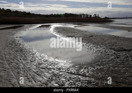 Waren, Allemagne. 22 octobre, 2018. Une large bande dans la zone côtière à l'Kölpinsee est sèche. La sécheresse prolongée a entraîné des niveaux d'eau dans les lacs du Mecklembourg à chuter de près de 70 centimètres. La situation n'est pas encore une menace pour les grands lacs. Dans les petits lacs et rivières, d'autre part, les poissons peuvent mourir dans l'hiver s'il y a un couvert de glace. Crédit : Bernd Wüstneck/dpa/Alamy Live News Banque D'Images