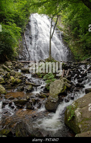 Les majestueuses chutes d'eau de Crabtree entouré par une forêt de feuillus, situées au large de la Blue Ridge Parkway en Caroline du Nord occidentale de la montagne Banque D'Images