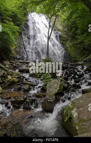 Les majestueuses chutes d'eau de Crabtree entouré par une forêt de feuillus, situées au large de la Blue Ridge Parkway en Caroline du Nord occidentale de la montagne Banque D'Images