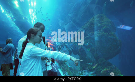 Teenage girl with Dad admirer la vie marine dans le tunnel de verre de l'aquarium de Dubai Mall Banque D'Images