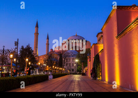 La Turquie, Istanbul, Hagia Sofia Mosque at blue hour Banque D'Images