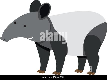 Tapir mignon debout sur fond blanc illustration Illustration de Vecteur