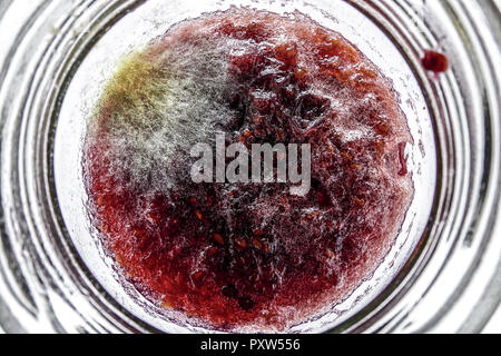 Marmelade Verschimmelte einem Glas, dans un pot de confiture moisie, confiture, confitures, tartinades, Détail, dégoût, dégoûtante, nourriture, toxiques, verre, Macro, pot de confiture, F Banque D'Images