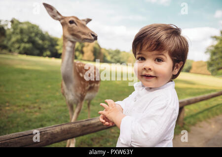 Portrait of happy tout-petit dans un parc sauvage avec des chevreuils dans l'arrière-plan Banque D'Images