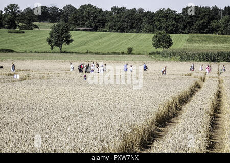 Menschen auf einem Kornkreis bestaunen Kornfeld bei Rasiting, Oberbayern, Bayern, Deutschland, l'Europe, les gens admirer un crop circle dans un fiel de maïs Banque D'Images