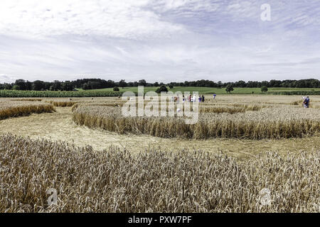 Menschen auf einem Kornkreis bestaunen Kornfeld bei Rasiting, Oberbayern, Bayern, Deutschland, l'Europe, les gens admirer un crop circle dans un fiel de maïs Banque D'Images