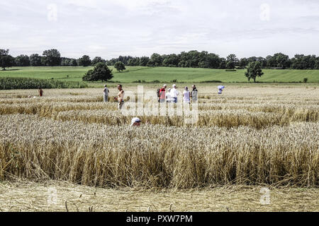 Menschen auf einem Kornkreis bestaunen Kornfeld bei Rasiting, Oberbayern, Bayern, Deutschland, l'Europe, les gens admirer un crop circle dans un fiel de maïs Banque D'Images