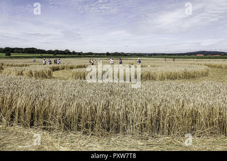 Menschen auf einem Kornkreis bestaunen Kornfeld bei Rasiting, Oberbayern, Bayern, Deutschland, l'Europe, les gens admirer un crop circle dans un fiel de maïs Banque D'Images