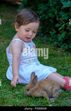 Portrait de bébé contenu fille jouant avec jeune lapin sur un pré Banque D'Images