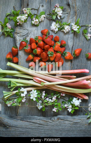 Les tiges de rhubarbe, fraises et Apple Blossoms sur bois Banque D'Images