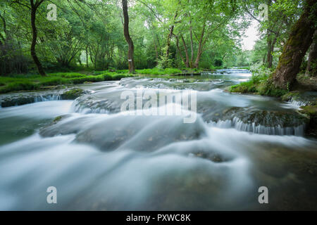 Très rapide rivière qui coule, une cascade de plus de pierres de rivière et forêt en arrière-plan Banque D'Images