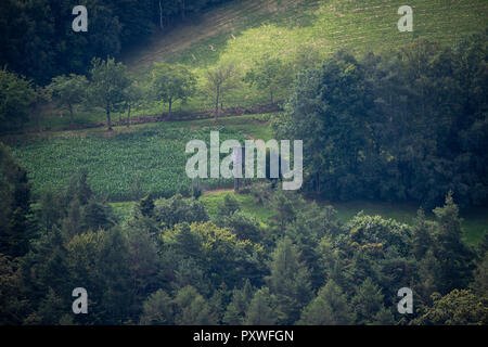 Fine art couleur paysage idyllique campagne image d'une recherche sur un champ vert entouré d'une forêt en vintage style pris sur un jour brumeux Banque D'Images