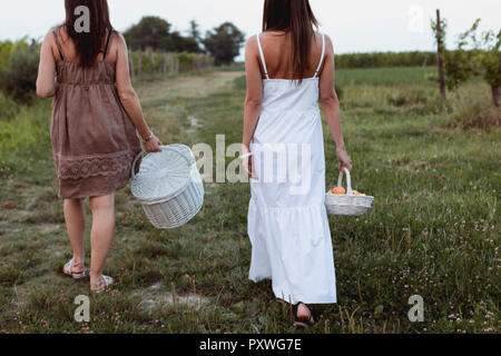 Les amis de marche de vigne portant des paniers de pique-nique Banque D'Images