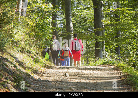 Groupe de gens à pied par sentier de randonnée en forêt Banque D'Images