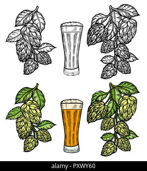 Verre à bière chope avec hop. La main de l'objet de boissons isolé sur fond blanc. Style croquis illustration. Boisson alcoolisée couleur dessin. Grand Banque D'Images