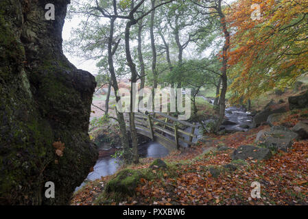 Passerelle au-dessus de Burbage Brook en Padley Gorge, Peak District, Derbyshire, Angleterre. Un matin d'automne brumeux. Banque D'Images