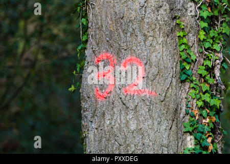 Nombre peint à la bombe sur un tronc d'arbre. Marquage des arbres. Marqueur de l'arbre. Banque D'Images