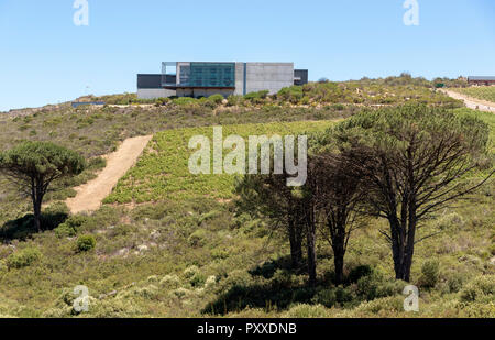 La propriété viticole de Waterkloof à Somerset West, Western Cape, Afrique du Sud. Donnant sur False Bay, sur la côte. Banque D'Images