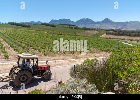 La propriété viticole de Waterkloof à Somerset West, Western Cape, Afrique du Sud. Le tracteur au travail la pulvérisation des vignes en été. Banque D'Images