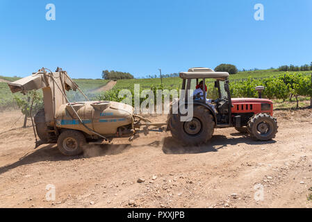 La propriété viticole de Waterkloof à Somerset West, Western Cape, Afrique du Sud. Le tracteur et la remorque au travail de pulvériser les vignes en été. Banque D'Images