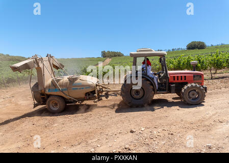 La propriété viticole de Waterkloof à Somerset West, Western Cape, Afrique du Sud. Le tracteur et la remorque au travail de pulvériser les vignes en été. Banque D'Images