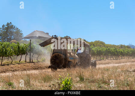 La propriété viticole de Waterkloof à Somerset West, Western Cape, Afrique du Sud. Le tracteur et la remorque au travail de pulvériser les vignes en été. Banque D'Images