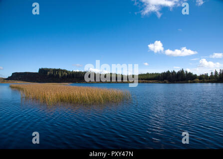 Vue panoramique sur le lac Lough Navar dans Meenameen dans Forêt Co. Fermanagh, Northen Irelnad Banque D'Images