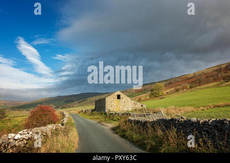 Grange en pierre du Yorkshire en automne avec un arbre aux fruits rouges, ladened Littondale, Yorkshire Dales, UK Banque D'Images