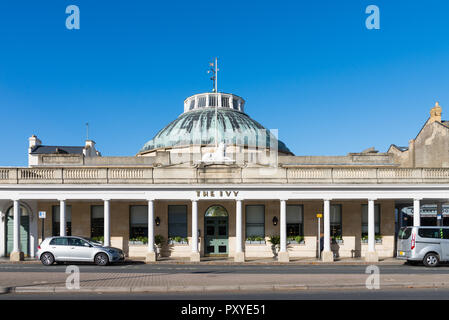 Le Ivy Brasserie à Montpellier, Cheltenham Cheltenham, Gloucestershire Banque D'Images