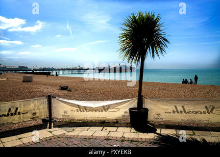 Brighton sur la mer Banque D'Images