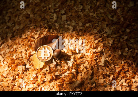 Peu de bois pièce sur les copeaux de bois et les Leafs à gauche Banque D'Images