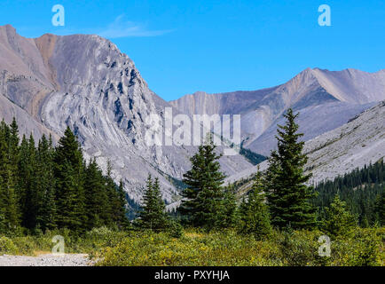 Paysages à l'Elbow Lake Trail dans les Rocheuses Banque D'Images