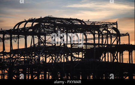 Brighton, UK. 24 Oct, 2018. Au coucher du soleil par le West Pier de Brighton ce soir après l'autre chaude journée ensoleillée sur la côte sud Crédit : Simon Dack/Alamy Live News Banque D'Images