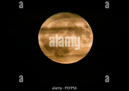 Le nord de Londres, Royaume-Uni. 24 Oct, 2018. Hunter lune se lève sur le Nord de Londres. Credit : Dinendra Haria/Alamy Live News Banque D'Images