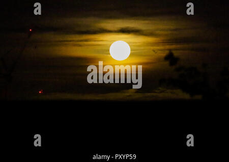 Le nord de Londres, Royaume-Uni. 24 Oct, 2018. Hunter lune se lève sur le Nord de Londres. Credit : Dinendra Haria/Alamy Live News Banque D'Images